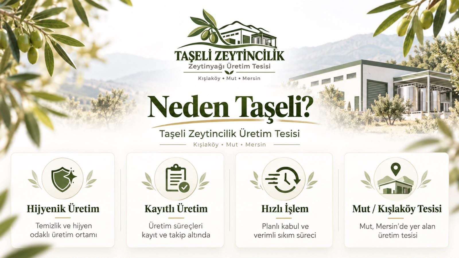 Taşeli Zeytincilik üretim tesisi
