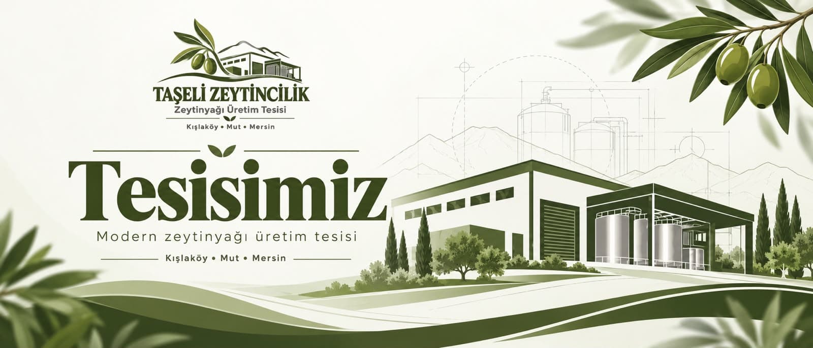 Tesisimiz – Modern zeytinyağı üretim tesisi, Kışlaköy • Mut • Mersin
